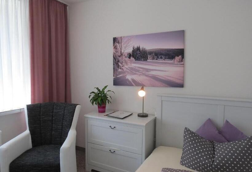 Номер Стандарт, Ferienhotel Mühlleithen