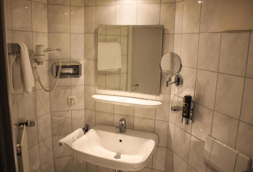 Одноместный Номер Basic, Zur Altstadt