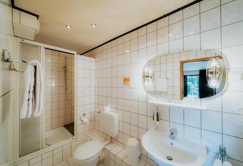 Номер Стандарт Индивидуальный, Robrooks Hotel Garni