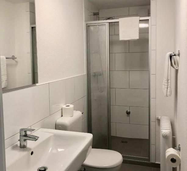 标准单人间, City Hotel Und City Apartments Centrum