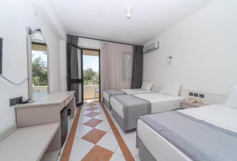 Трежместный Номер Economy, Arinnanda Otel