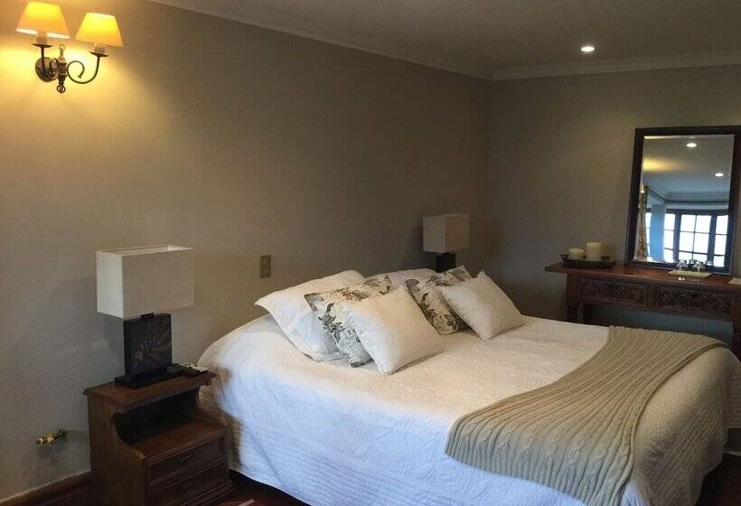 سوییت لوکس, Boutique Solaz Bella Vista De Colchagua