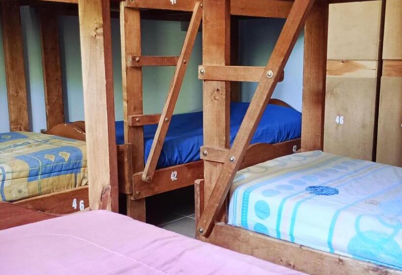 Кровать в Общей Комнате, Corinto Hostel