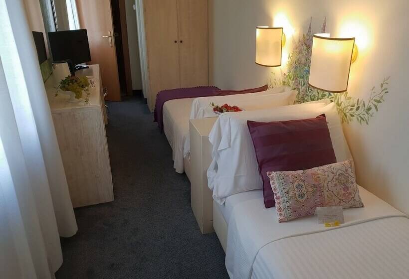 이코노미 룸, Albergo Al Moretto