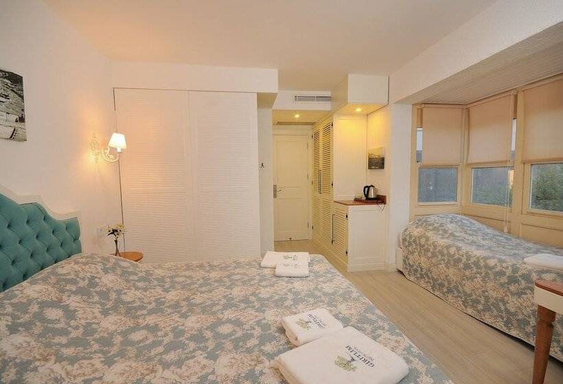 Трехместный Номер Стандарт Вид на Бассейн, Giritlim Butik Otel