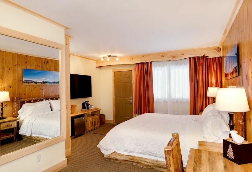 Номер Deluxe Одноместный, Adirondack Spruce Lodge