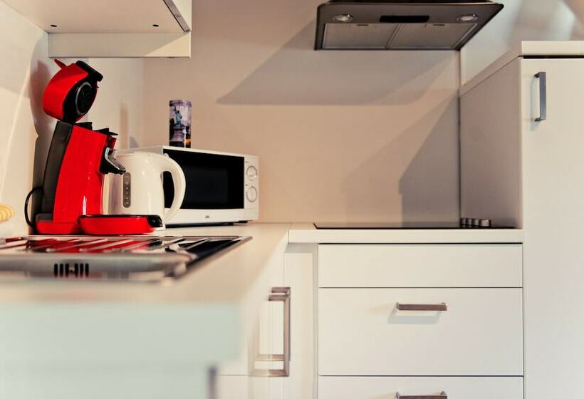 Апартаменты Дюплекс 1 Спальня, Appart Hotel Léopold Liège Centre