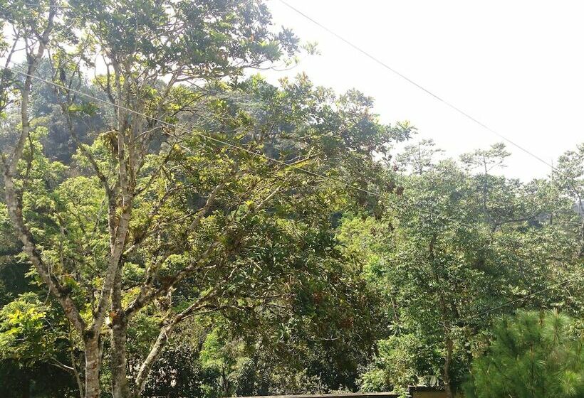 آپارتمان 1 خوابه, Casa Imperial Coban