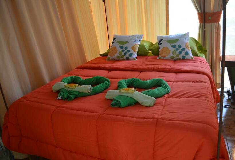اتاق استاندارد با تخت دوبل, Tortuguero Jungle