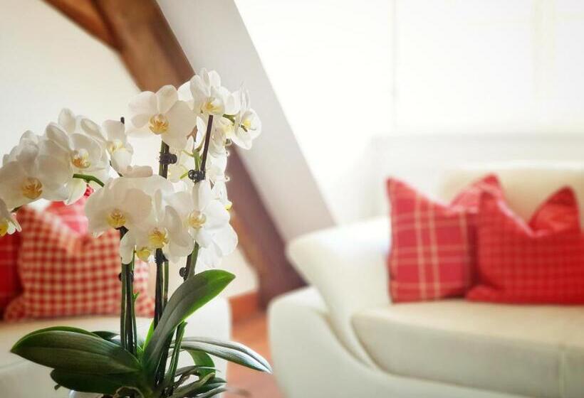 套房, Altstadthotel Molitor