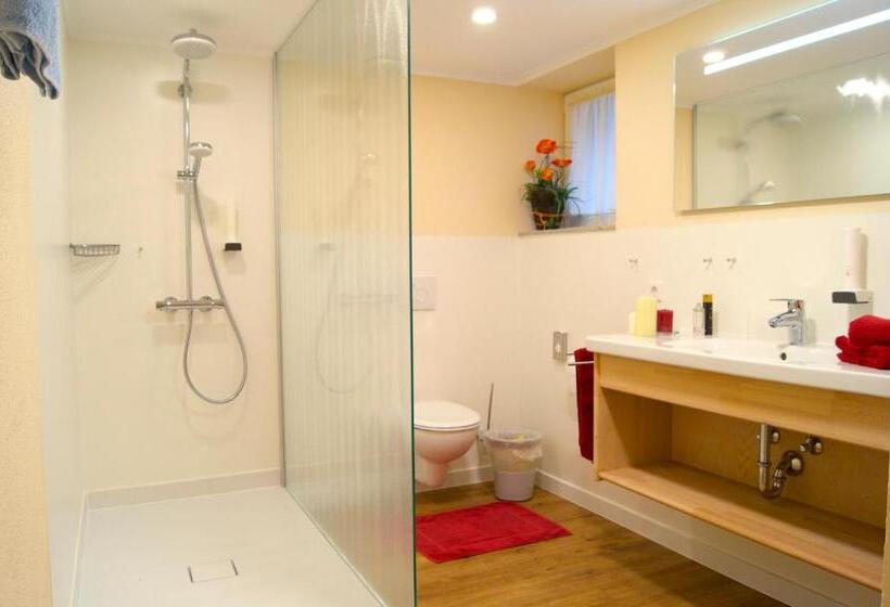 Апартаменты Superior 1 Спальня, Appartementhotel Breitmattstub