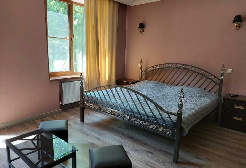 Номер Стандарт с Балконом, Van Guesthouse