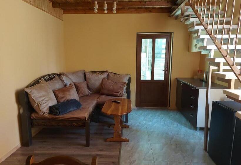 Номер Стандарт с Террасой, Van Guesthouse