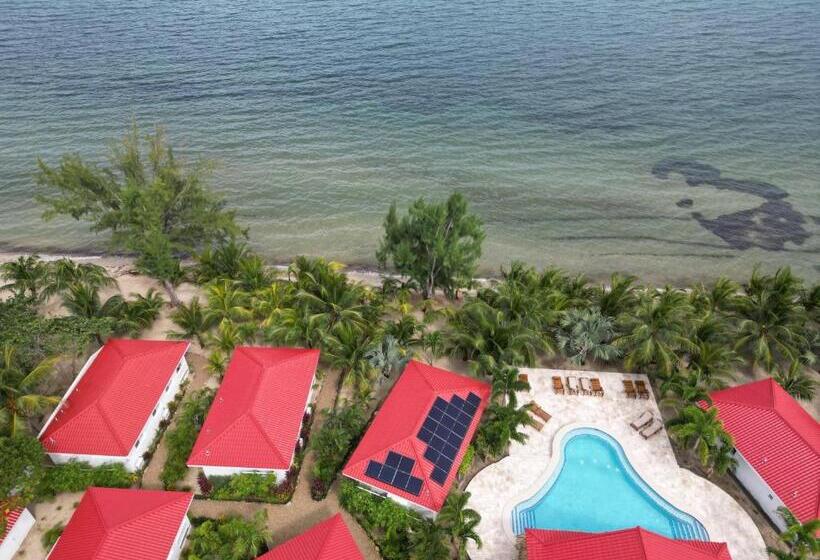 Бунгало Deluxe, Ceiba Beach Resort