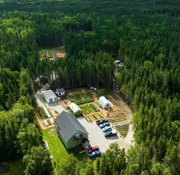 Стандартный Номер Кровать Кинг, Upper Humber Settlement A Farmstay B&b