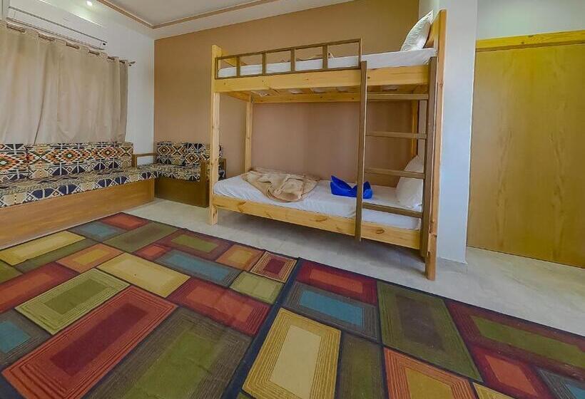 سوئیت با تخت بزرگ, Seaview Hotel Dahab