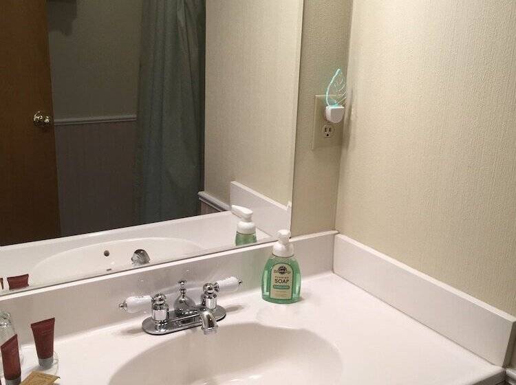 Номер Deluxe Вид на Горы, Frisco Lodge