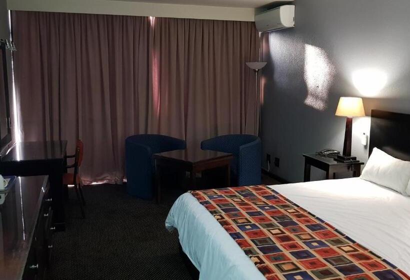 스탠다드 룸 킹사이즈 침대, African Sky Ermelo Inn