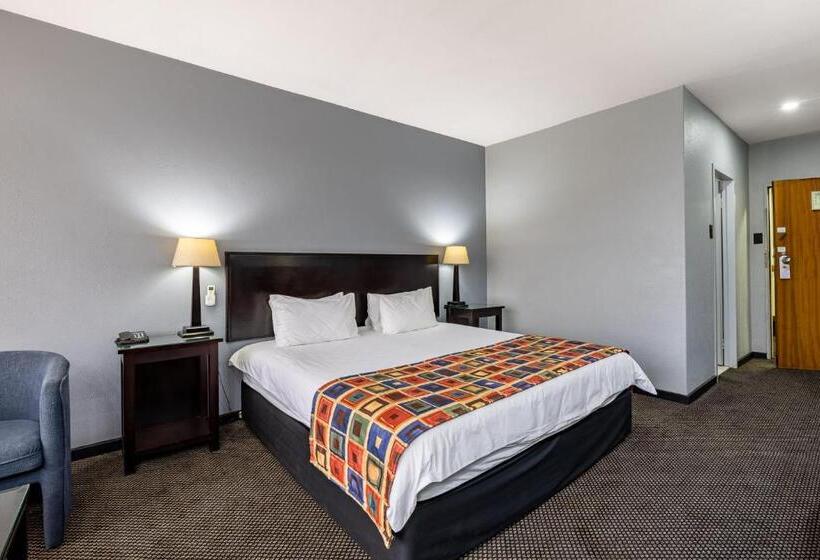 스탠다드 룸 킹사이즈 침대, African Sky Ermelo Inn