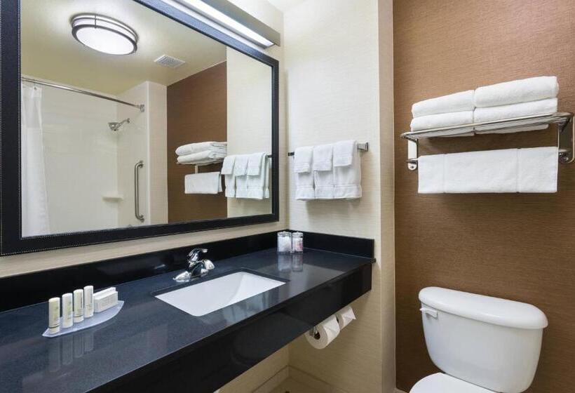 Стандартный Номер Кровать Кинг, Fairfield Inn & Suites By Marriott Odessa