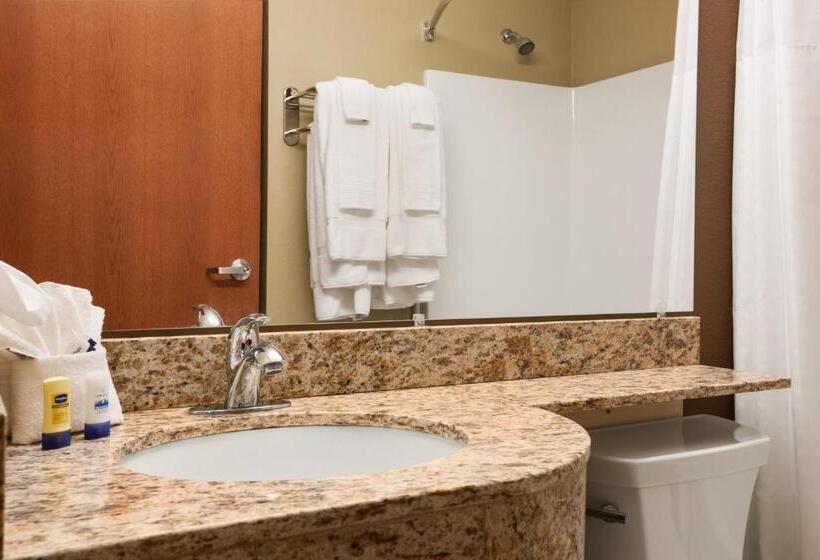 Люкс, Microtel Inn & Suites Pleasanton