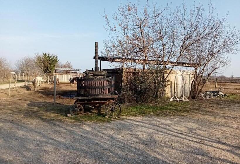 سوییت سوپریور, Le Mas Palegry Chambres D Hôtes Perpignan