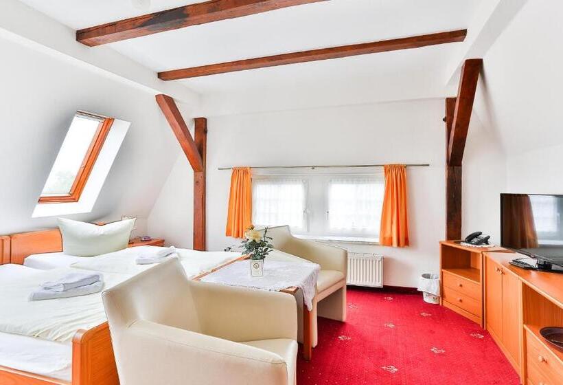 Номер Стандарт, & Pension Villa Camenz