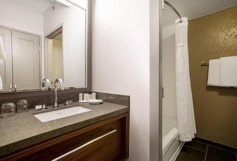 Quarto Estandar para Deficientes Físicos, Courtyard Orlando Altamonte Springs Maitland