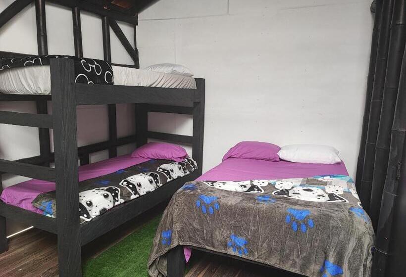 Cameră Familiară, Colors Fantasy Hostel