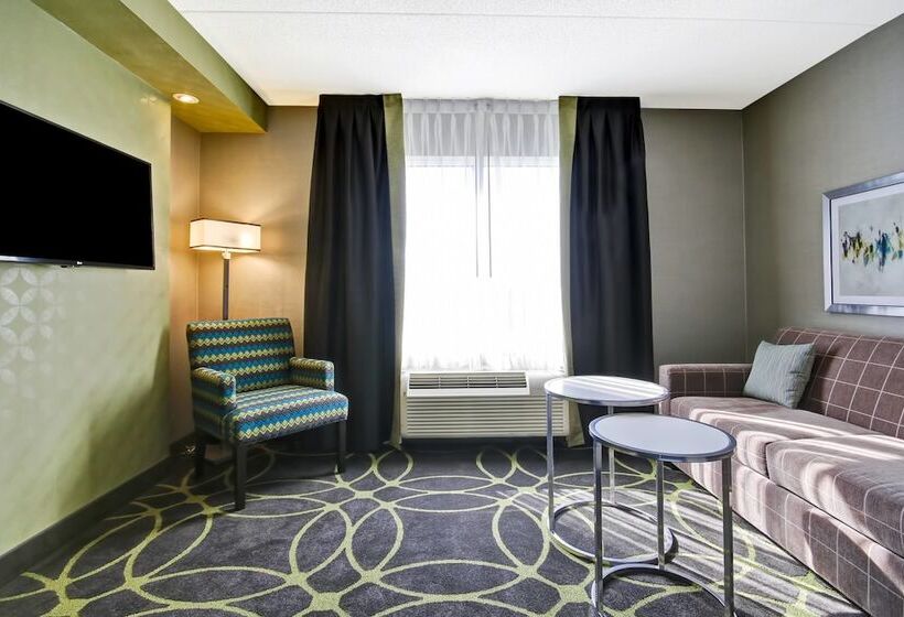 Люкс, Fairfield Inn & Suites By Marriott Guelph