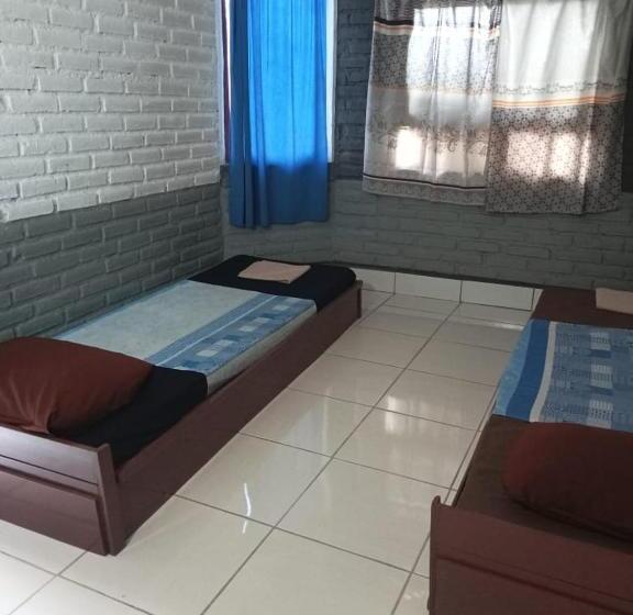 Номер Стандарт, Apollo Hostel