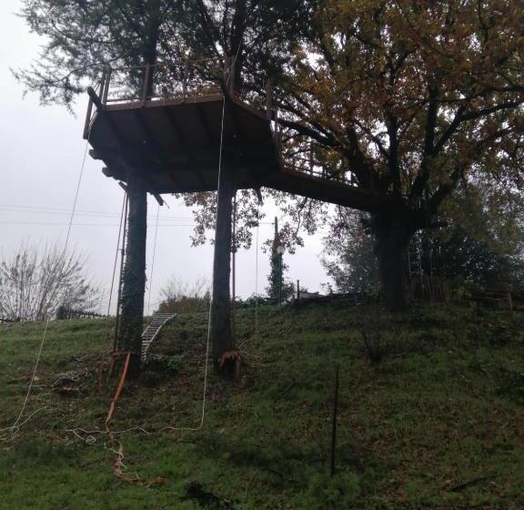 آپارتمان سوپریور 1 خوابه, B&b Colle Di Terria Country House