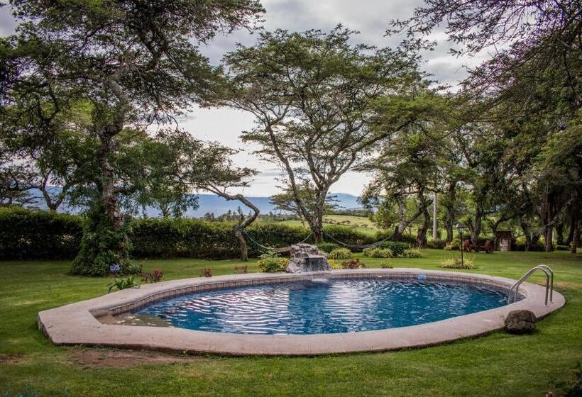 수피리어 룸, Hacienda San Francisco