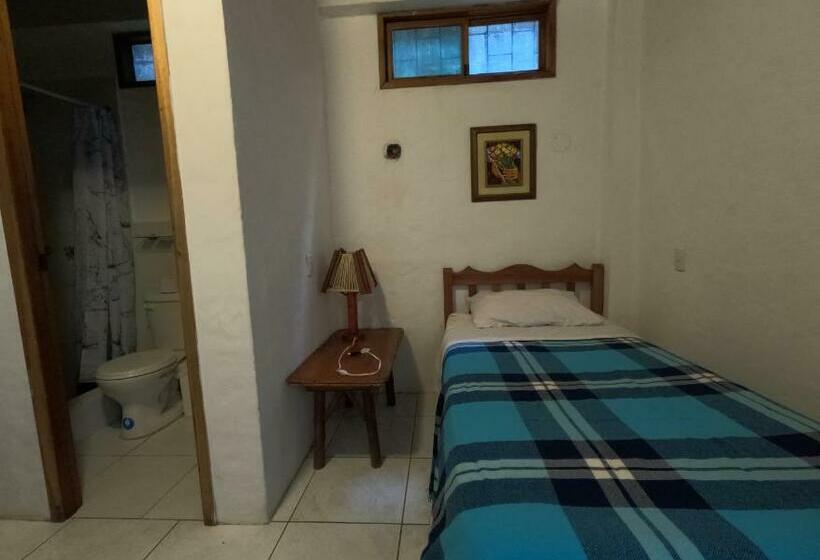 اتاق استاندارد, Hostal Solemare