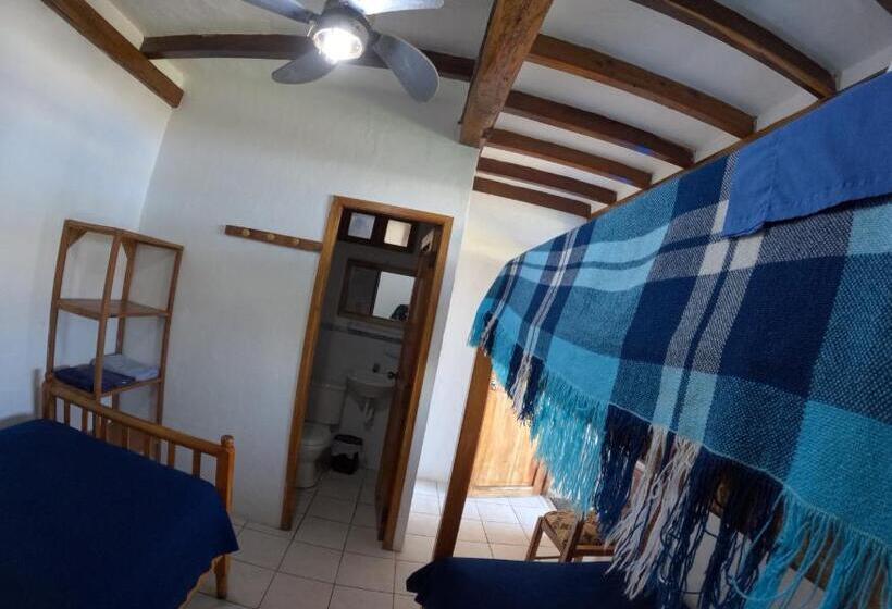 اتاق استاندارد سه نفره, Hostal Solemare