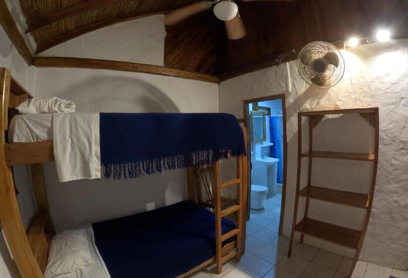 اتاق استاندارد سه نفره, Hostal Solemare