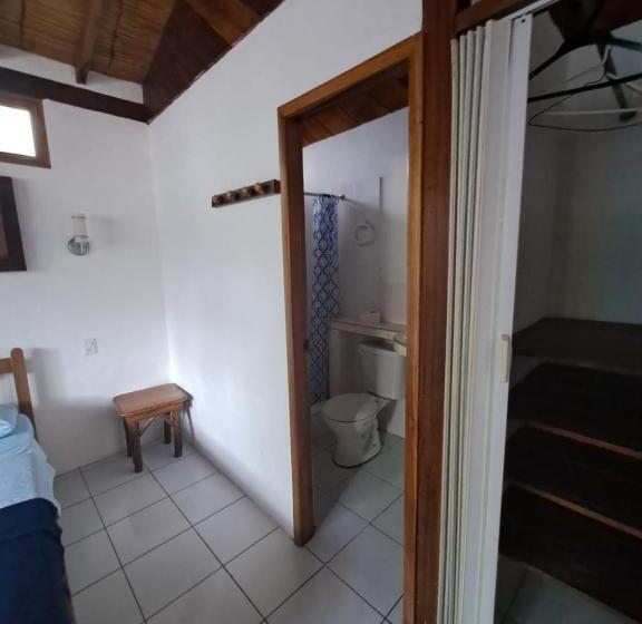 اتاق سوپریور چهار تخته, Hostal Solemare