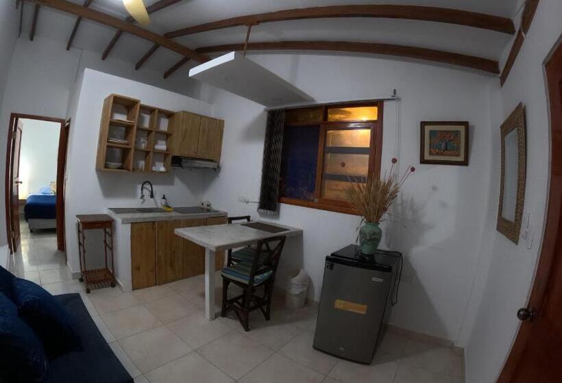 سوییت سوپریور, Hostal Solemare