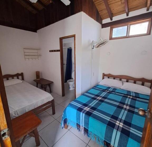 اتاق استاندارد, Hostal Solemare