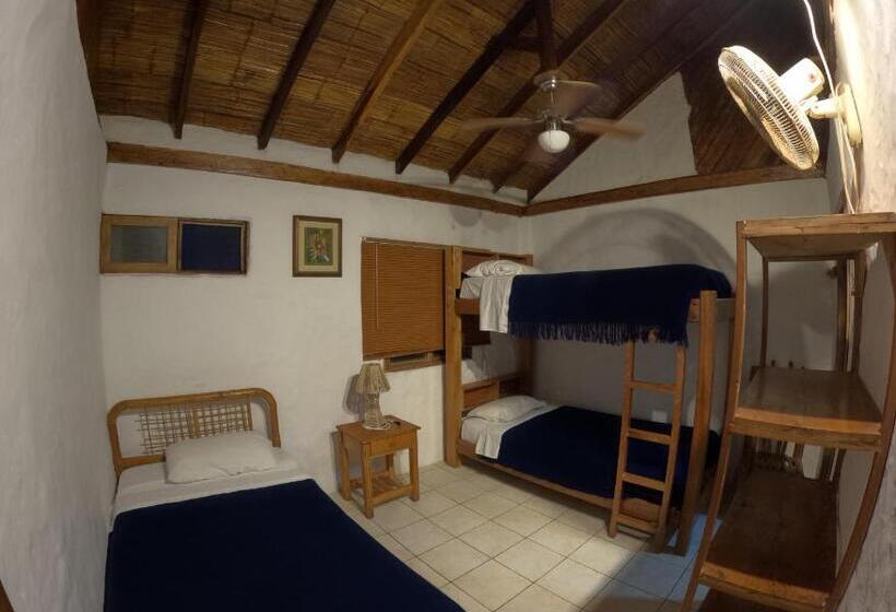 اتاق سوپریور چهار تخته, Hostal Solemare