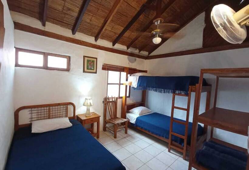 اتاق کلاسیک سه تخته, Hostal Solemare