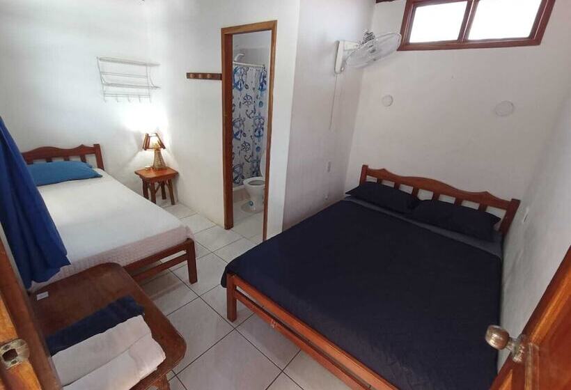 اتاق استاندارد, Hostal Solemare