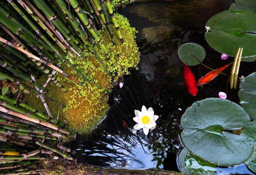 اتاق استاندارد با تراس, La Martinoise Garden