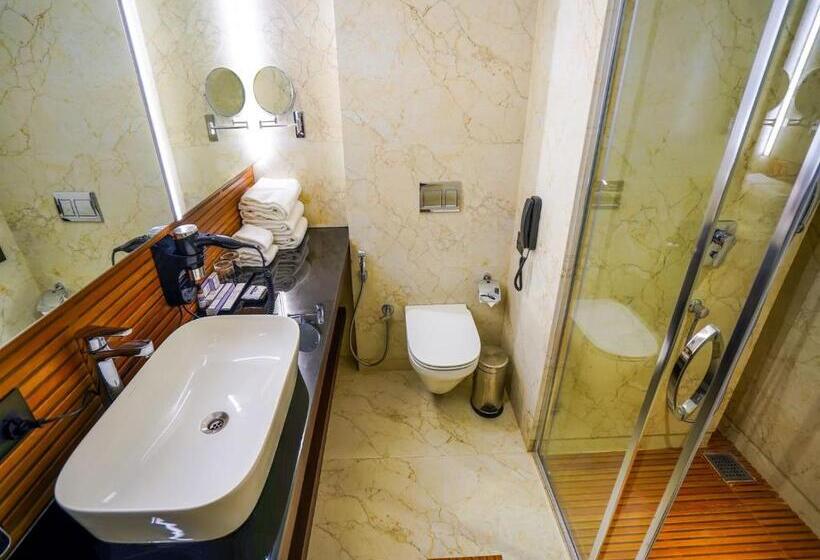 Президентский Люкс, Essentia Luxury Hotel Indore