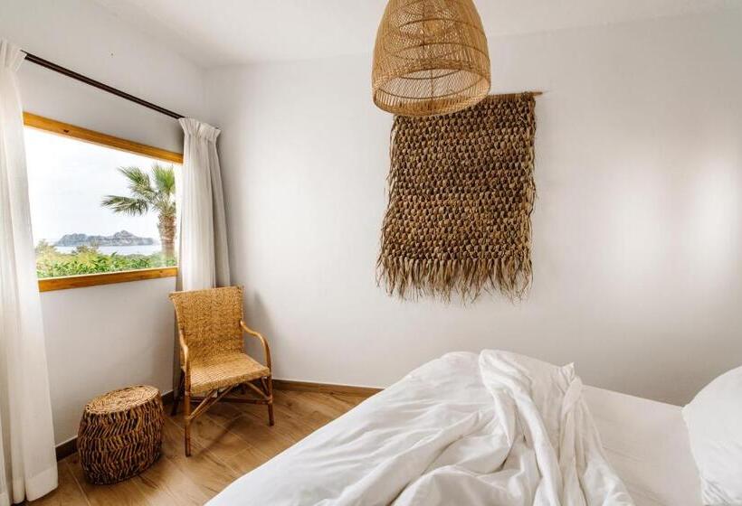 سوییت جونیور در طبقه همکف, Petunia Ibiza, A Beaumier