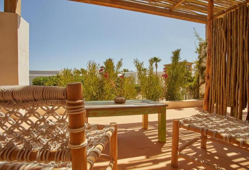 سوییت با چشم‌انداز دریا, Petunia Ibiza, A Beaumier