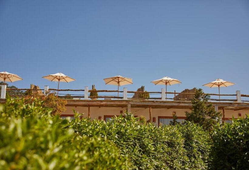 سوییت با چشم‌انداز دریا, Petunia Ibiza, A Beaumier