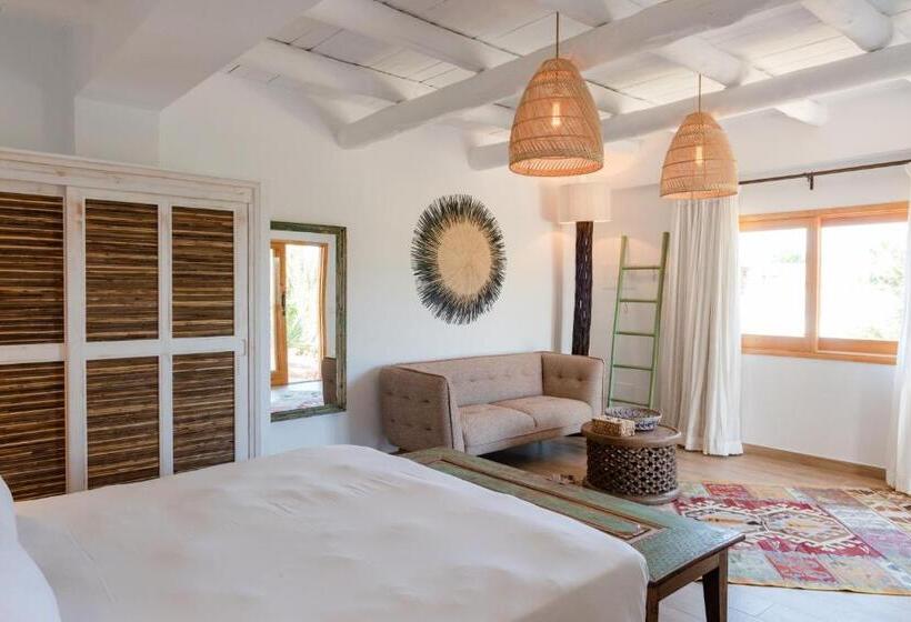 سوییت جونیور در طبقه همکف, Petunia Ibiza, A Beaumier
