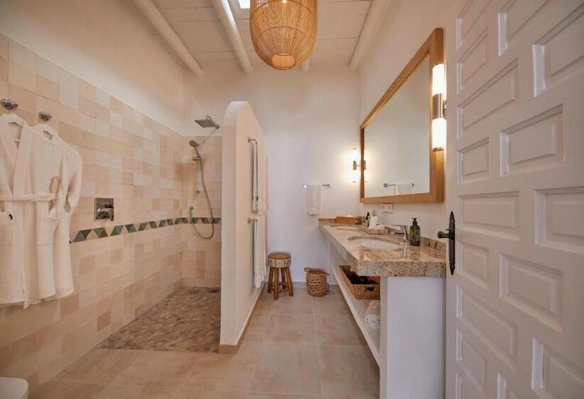 اتاق استاندارد, Petunia Ibiza, A Beaumier
