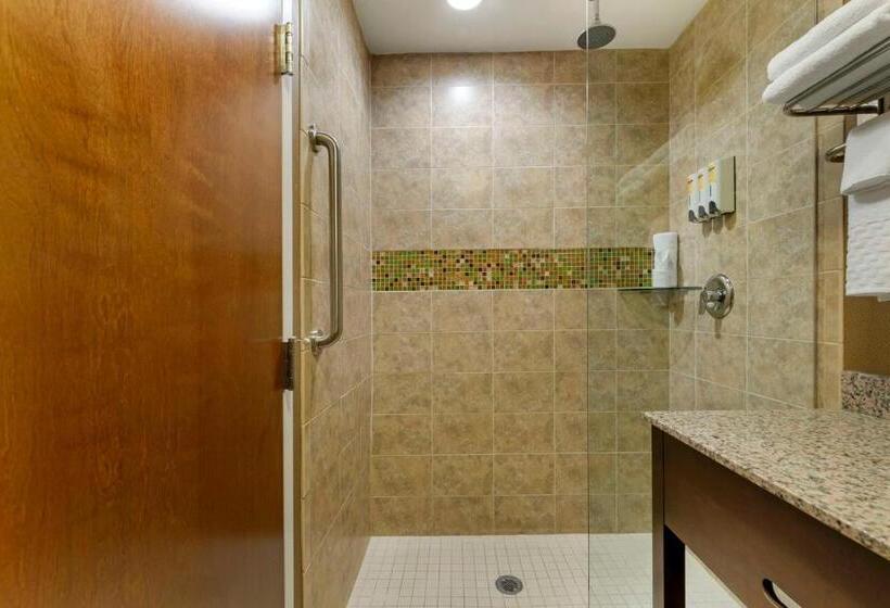 キングサイズベッドのデラックスルーム, Best Western Plus Miami Executive Airport Hotel And Suites